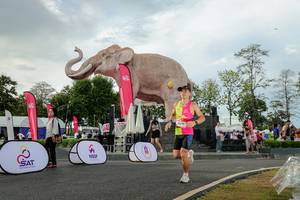 BIB: 
                            <button type="button" onclick="openModal(26528376)" class="btn btn-primary btn-sm float-right btn-popup" data-toggle="modal" data-target=".modal-high-quality">
                        <i class="fas fa-shopping-cart"></i> Add to Cart
                    </button>
                                            <button type="button" onclick="isThisMe(26528376, true)" class="btn btn-success btn-sm float-right btn-popup btn-isme hidden" data-toggle="tooltip" data-placement="bottom" title="นี่คือรูปของคุณใช่ไหม คลิกที่นี่เพื่อเอาเข้าอัลบั้ม">
                        <i class="fas fa-plus"></i> Add to album
                    </button>
                    <button type="button" onclick="isThisMe(26528376, false)" class="btn btn-warning btn-sm float-right btn-popup btn-isnotme hidden">
                        <i class="fas fa-ban"></i> Remove from album
                    </button>